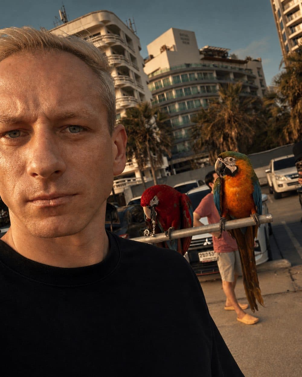 ASTROThai on a street with high-rise buildings, palm trees and a parrot